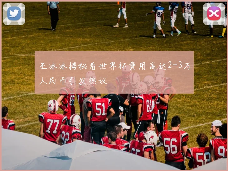 王冰冰揭秘看世界杯费用高达2-3万人民币引发热议