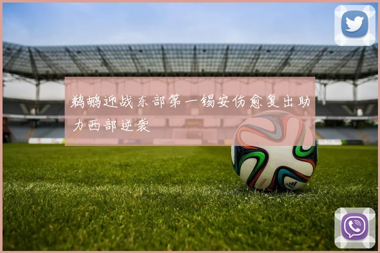 鹈鹕迎战东部第一锡安伤愈复出助力西部逆袭